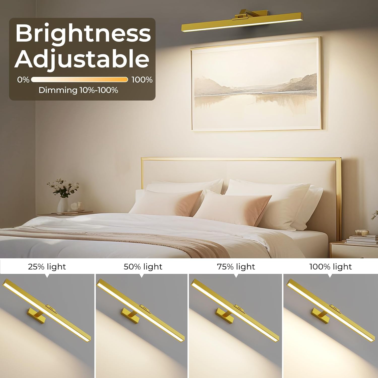 Picture & Display Lighting - Image 6