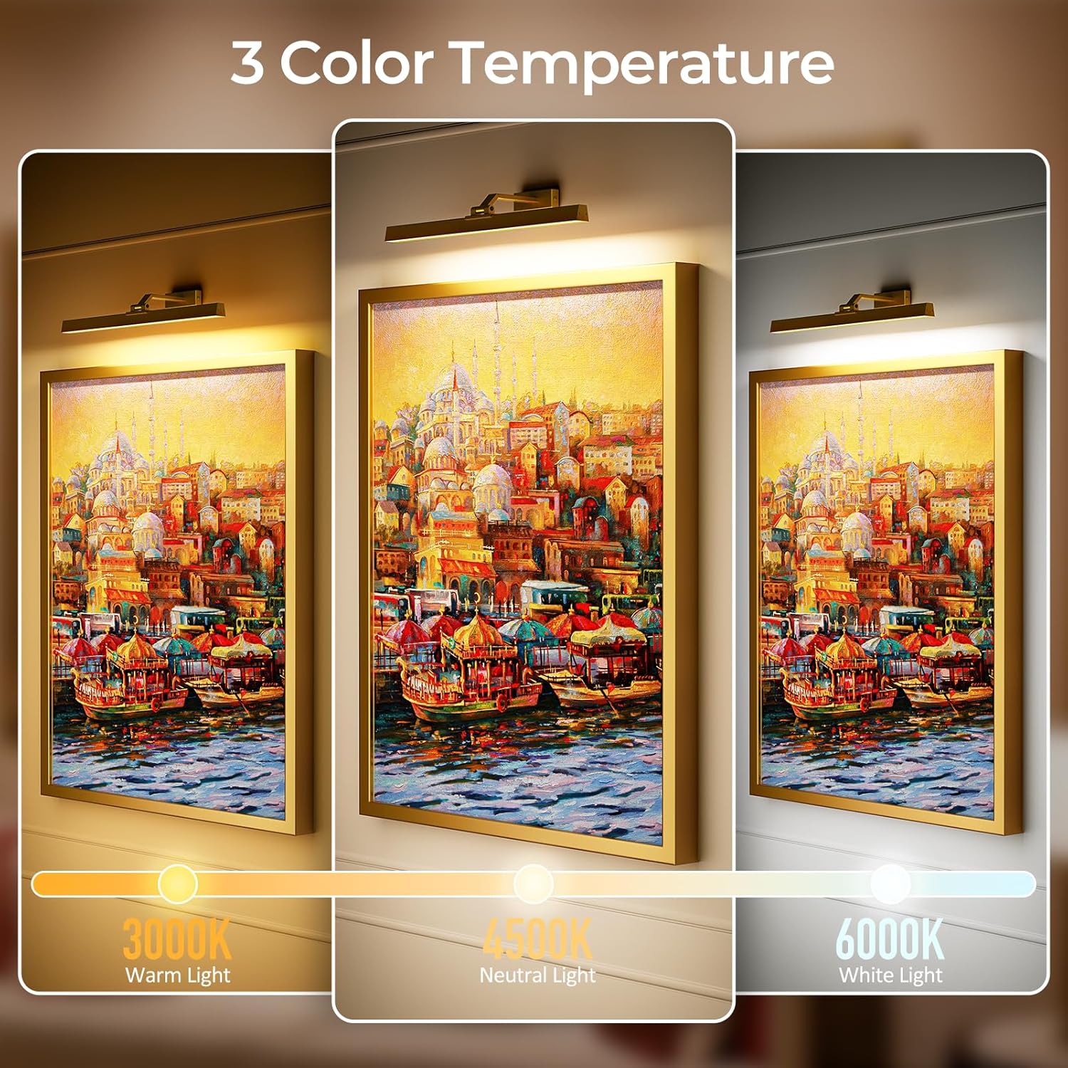 Picture & Display Lighting - Image 7